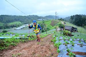 BIB: 1512
                            <button type="button" onclick="openModal(13378545)" class="btn btn-primary btn-sm float-right btn-popup" data-toggle="modal" data-target=".modal-high-quality">
                        <i class="fas fa-shopping-cart"></i> Add to Cart
                    </button>
                                            <button type="button" onclick="isThisMe(13378545, true)" class="btn btn-success btn-sm float-right btn-popup btn-isme hidden" data-toggle="tooltip" data-placement="bottom" title="นี่คือรูปของคุณใช่ไหม คลิกที่นี่เพื่อเอาเข้าอัลบั้ม">
                        <i class="fas fa-plus"></i> Add to album
                    </button>
                    <button type="button" onclick="isThisMe(13378545, false)" class="btn btn-warning btn-sm float-right btn-popup btn-isnotme hidden">
                        <i class="fas fa-ban"></i> Remove from album
                    </button>